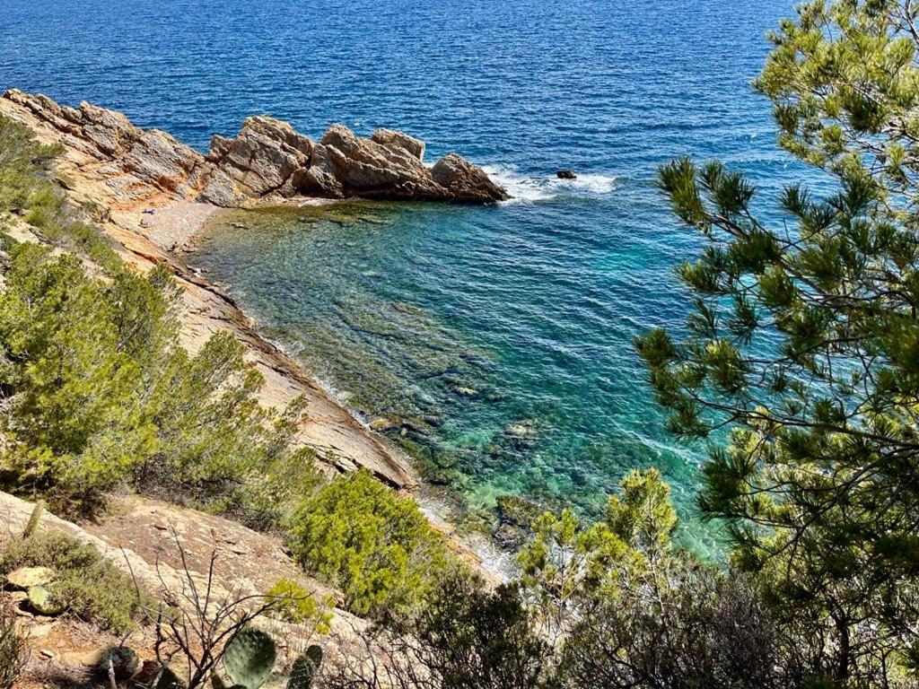 Appartement Au Calme, Calanque Des Figuieres Ансюес-ла-Родон Екстериор снимка